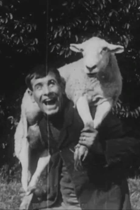    A man steals a sheep and is chased by the shepherds and the police.  